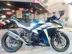 カワサキ　Ｎｉｎｊａ　２５０　ＡＢＳモデル　社外フルエキゾーストマフラー