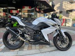 カワサキ　Ｚ２５０　別体式ＥＴＣ　カスタムマフラー　フェンダーレスキット　社外レバー