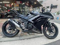 カワサキ　Ｎｉｎｊａ　２５０　エンジンスライダー　ノーマル車両