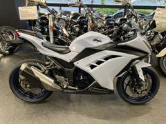 カワサキ　Ｎｉｎｊａ　２５０　マルチバー　ポジションインジケーター