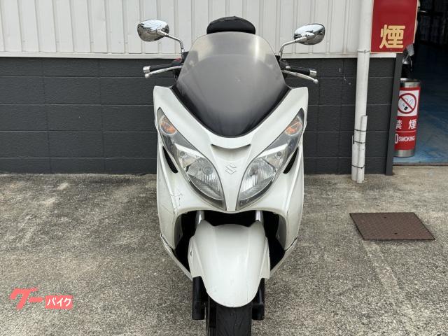 ハイビスカス スズキ スカイウェイブ250 タイプS CJ44A K7モデル