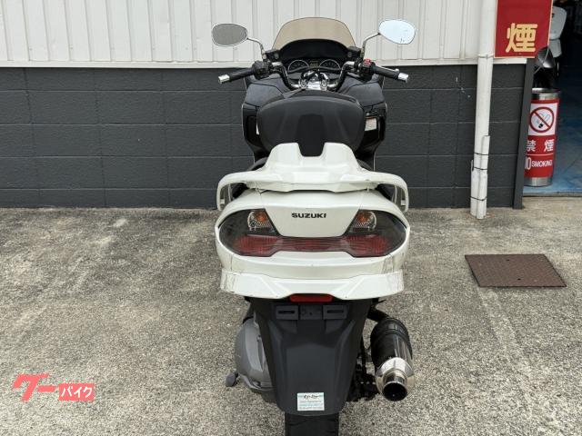 ハイビスカス スズキ スカイウェイブ250 タイプS CJ44A K7モデル