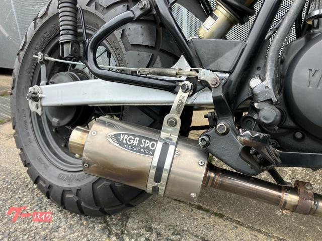 ヤマハ TW200 ベガスポーツマフラー 社外メーター スカチューン
