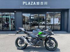 カワサキ　Ｎｉｎｊａ２５０　２０２４年モデル　新車　３年保証　ヘルメットロック標準装備