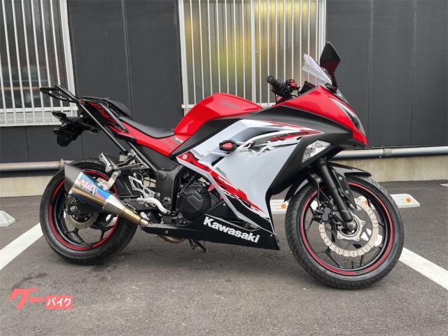 Ｎｉｎｊａ　２５０