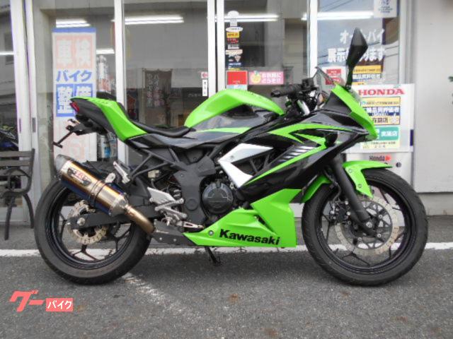 Ｎｉｎｊａ　２５０ＳＬ