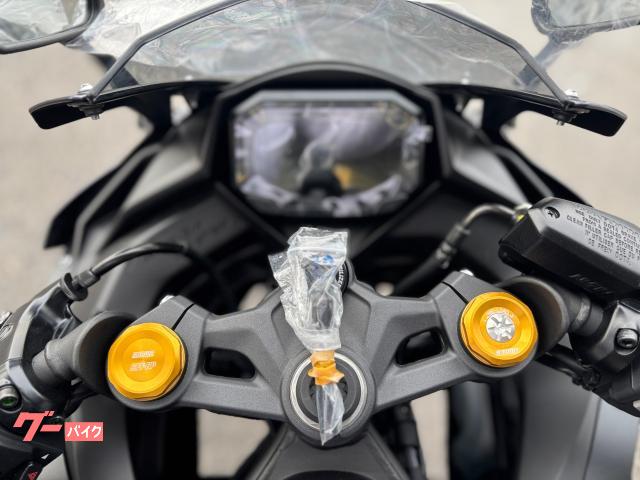 カワサキ Ninja ZX－25R SE マットグレー 2025年