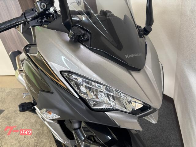 カワサキ Ninja 250 2019年モデル シルバーxブラック