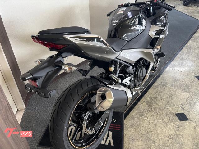 カワサキ Ninja 250 2019年モデル シルバーxブラック