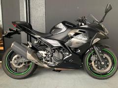 カワサキ　Ｎｉｎｊａ　２５０　２０２２年モデル　純正タンクパッド　トリックスターエンジンスライダー　ＥＴＣ装備