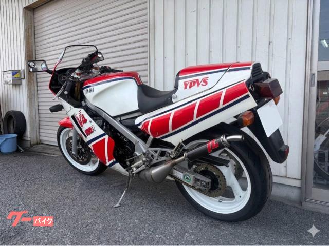 ヤマハ RZV500R｜クローバーモーターサイクル亀岡店｜新車
