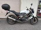 VTR250