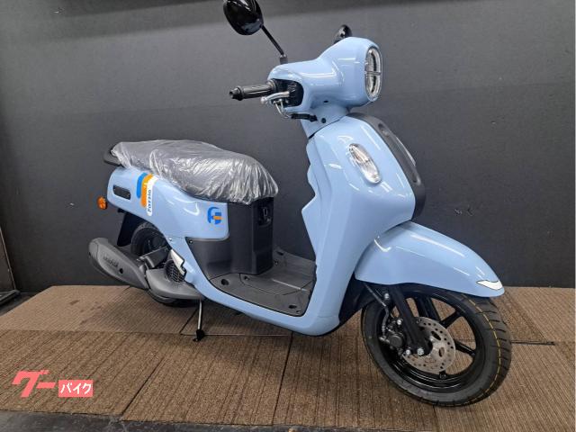 ファツィオ　国内仕様　最新現行型