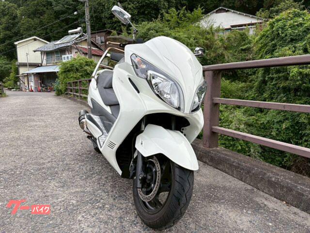 スカイウェイブ２５０　ＢＥＡＭＳマフラー　ウィルズウィンサポートタンデムバー　アルミステップ