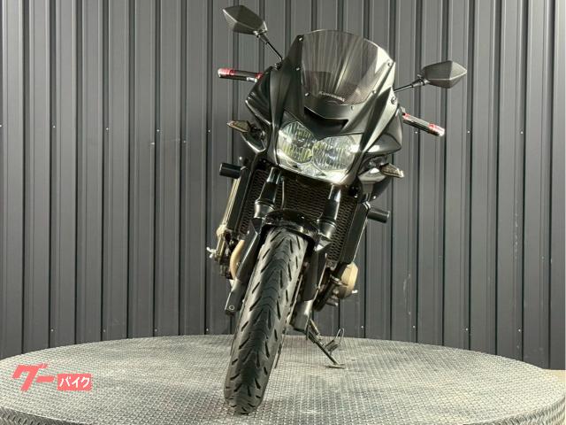 カワサキ Z750S 逆輸入車 Puigカーボンインナーリア
