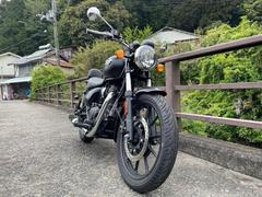 ＲＯＹＡＬ　ＥＮＦＩＥＬＤ　メテオ３５０　ステラ　ステラブラック　正規ディーラー中古車　ＥＴＣ付き　トリッパーナビ　バックレスト付き