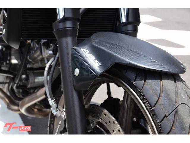 スズキ SV650 SSBステンレススポーツバンパー サイドバッグ