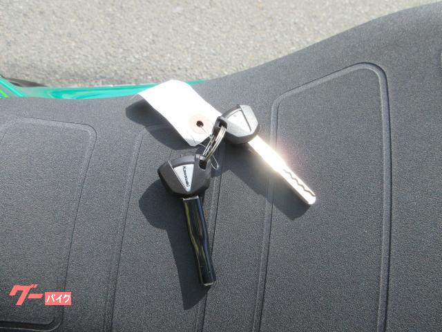Kawasaki Z650RS ETC USB — миниатюра 6