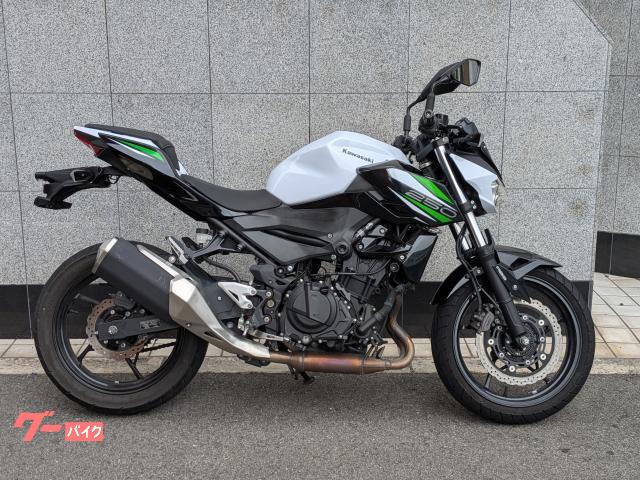 Ｚ２５０　ＡＢＳ　２０１９年ＥＸ２５０Ｐモデル　国内仕様ワンオーナー
