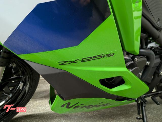 お値下げ　ジャン・ジュリアン　激レア　一点もの カワサキ Ninja ZX－4R SE｜バイクステーション