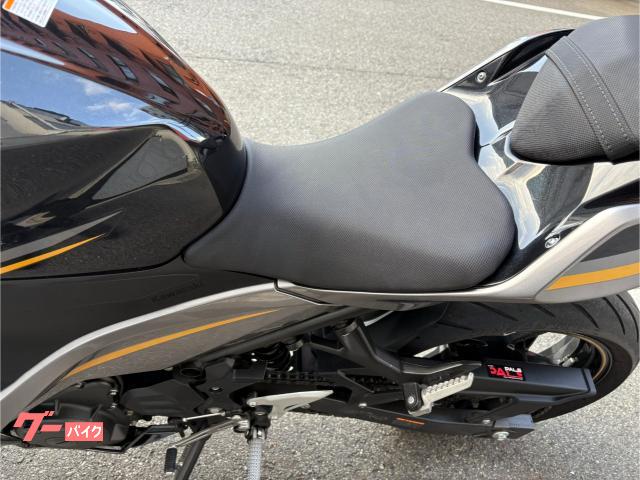 カワサキ Ninja 400 ABS EX400G国内仕様ワンオーナー