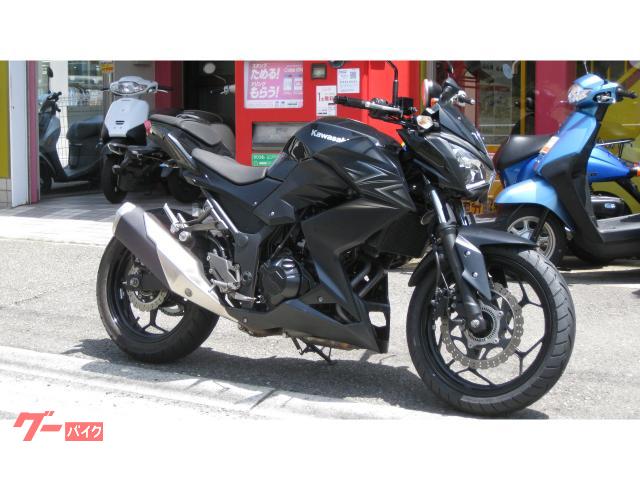 Ｚ２５０　ＡＢＳ　ワンオーナー車両　アシスト＆スリッパークラッチ搭載モデル　フロントタイヤ交換済み　スペアキー有り　各所点検済み