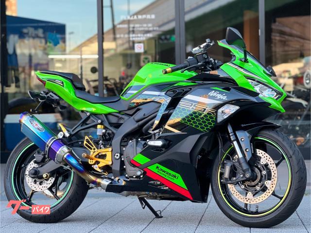 Ｎｉｎｊａ　ＺＸ−２５Ｒ　ＳＥ　ＭＹ２０２１　１オーナー　ＢＥＥＴフルエキゾースト他カスタム多数