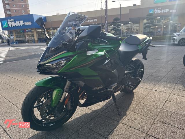 Kawasaki Ninja 1100 SX SE — миниатюра 5