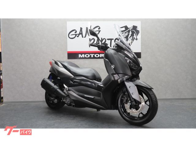 Ｘ−ＭＡＸ２５０　シンプルカスタム　２０１８年モデル　ローダウン　フェンダーレス　アラーム付