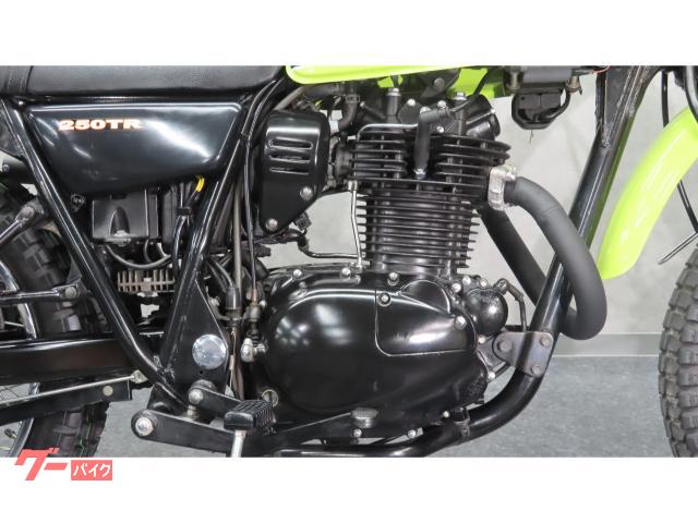 カワサキ 250TR FI F11バイソンレプリカ ビッグホーンカラー
