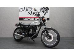カワサキ　２５０ＴＲ　インジェクションモデル　ＧＯＯＤＳマフラー　前後ステンフェンダー　テールランプ　ロードタイヤ