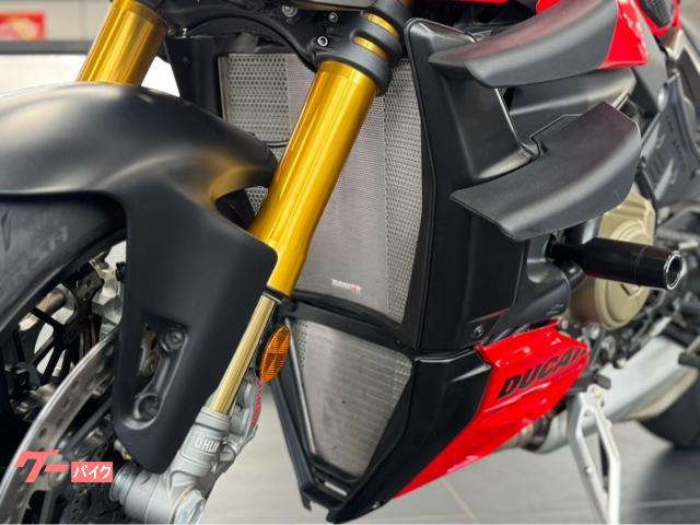 DUCATI V4S 2024 2024 — миниатюра 6