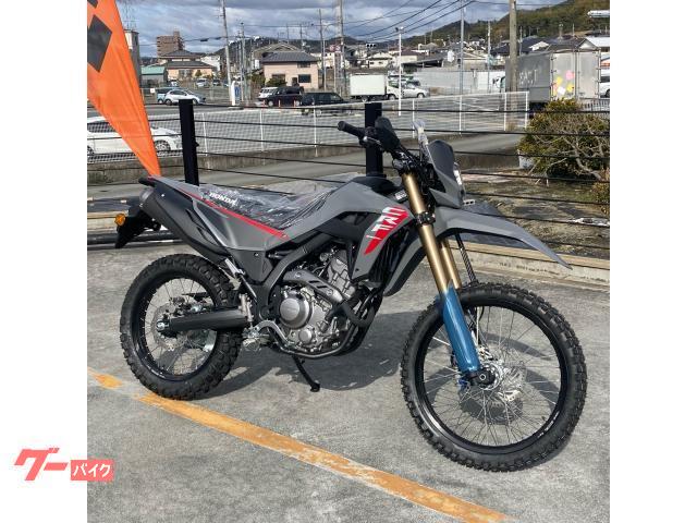 ＣＲＦ２５０Ｌ　２０２５　ローダウン仕様