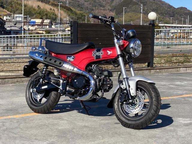 ホンダ ダックス１２５ ２０２２ ｜株式会社 オーカワ 本店｜新車・中古バイクなら【グーバイク】