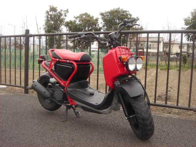 車両情報 ホンダ ズーマー パンダモータース 中古バイク 新車バイク探しはバイクブロス