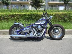 ＨＡＲＬＥＹ−ＤＡＶＩＤＳＯＮ　ＦＸＳＴＣ　ソフテイルカスタム