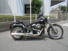 ＨＡＲＬＥＹ−ＤＡＶＩＤＳＯＮ　ＦＸＳＴＣ　ソフテイルカスタム
