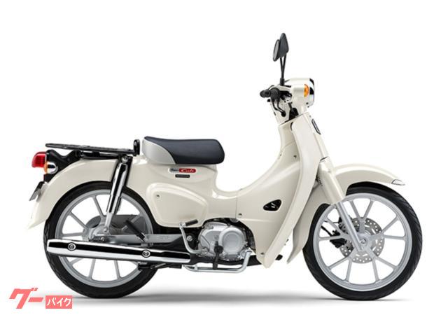 スーパーカブ１１０　新車　２０２６年モデル　現行最新　国内生産モデル