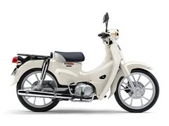 ホンダ　スーパーカブ１１０　新車　２０２６年モデル　現行最新　国内生産モデル