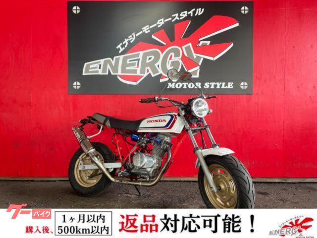 Ａｐｅ１００　ＨＣ０７型　ストライカー製マフラー　フェンダーレス　スカチューン　パワーフィルター