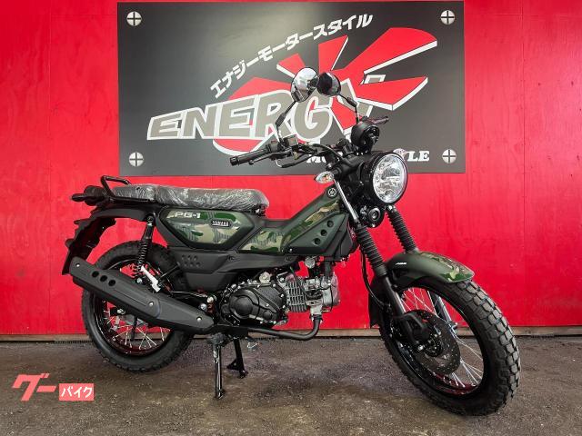 ＰＧ−１　リミテッドエディション　タコメーター付きデジタルメーター　ＡＢＳ　ギアポジション