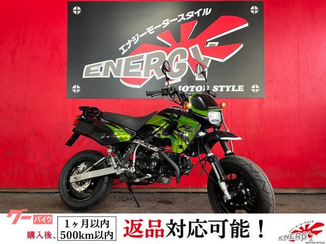 ＫＳＲ１１０　リアキャリア　キックスターター　キャブレター車
