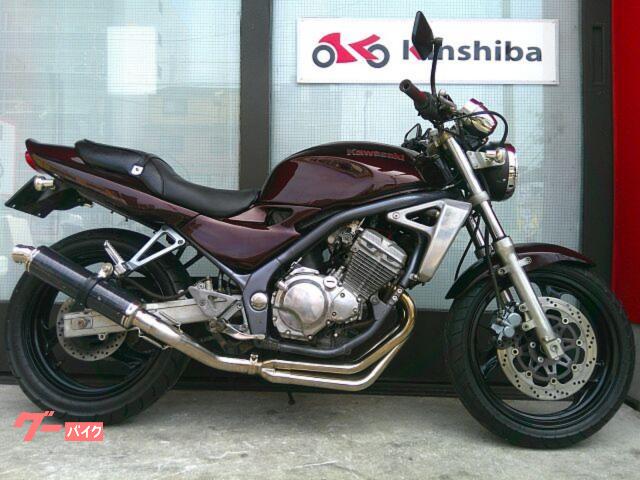 ＢＡＬＩＵＳ　前後ホイールパウダーコート塗装　新品チェーン　オールペイント　Ｅ１９