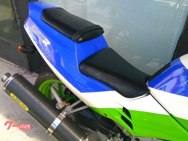カワサキ ZXR250 1991年式 規制前45馬力 2型 D1モデル