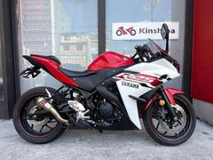 ヤマハ　ＹＺＦ−Ｒ２５　ＡＫＲＡＰＯＶＩＣサイレンサー　マウントバー装備　Ｇ３０