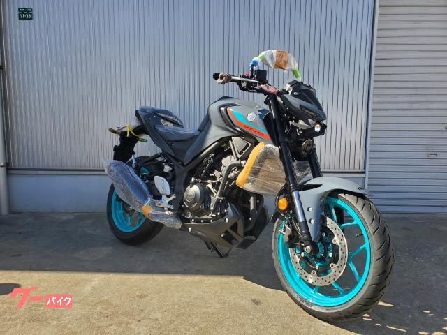 ヤマハ ＭＴ－０３（３２０ｃｃ） ＲＨ２１Ｊ型 倒立フォーク ＡＢＳ