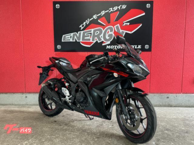 ＹＺＦ−Ｒ２５　２０１５年式　　エンジンスライダー　水冷４ストロークＤＯＨＣ４バルブ直列２気筒　デジタルメーター　２５０ｃｃ