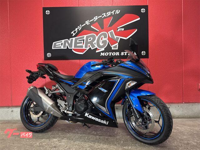 ninja250 ex250l スペシャルエディション（ベースにオススメ! ニンジャ 