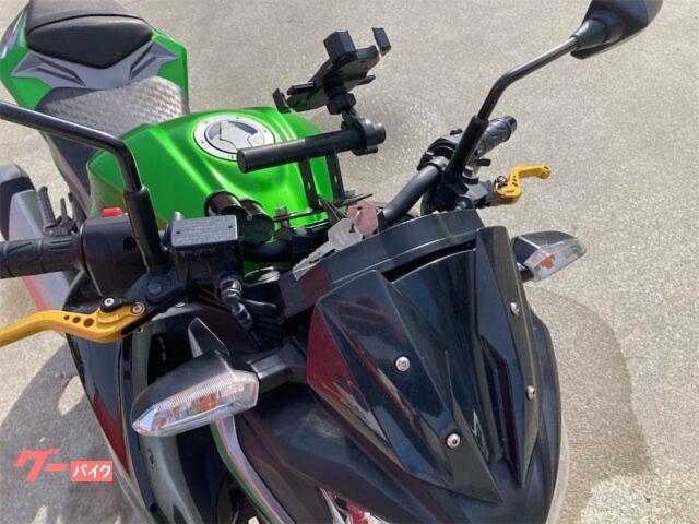 カワサキ Z250 ER250C型 2017年式 スペシャル