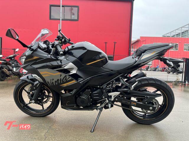 kawasaki Ninja250/EX250L 充電可能なスマホホルダー付（車両情報 